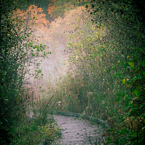 Pathway to nature